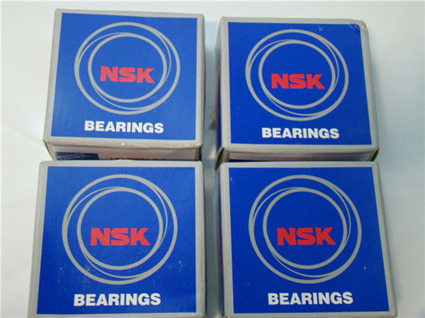 nsk auto bearing
